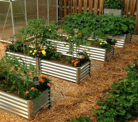 vegeda|The Best Choice For Corrugated Metal Raised Garden Beds